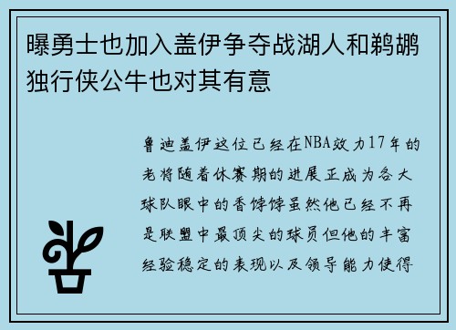 曝勇士也加入盖伊争夺战湖人和鹈鹕独行侠公牛也对其有意